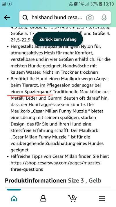 Cesar Milan - Pro und Contra-Beitrag-Bild