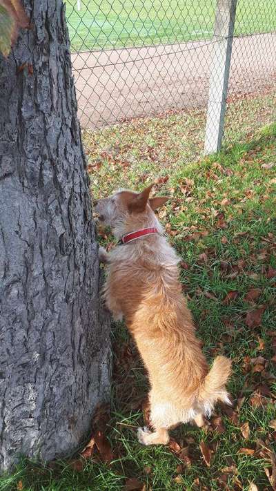 Zutreffende "Vorurteile"?-Beitrag-Bild