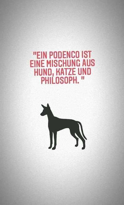 Zutreffende "Vorurteile"?-Beitrag-Bild