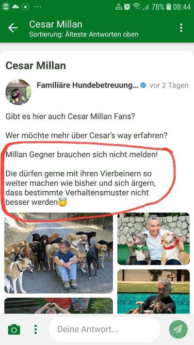 Cesar Milan - Pro und Contra-Beitrag-Bild