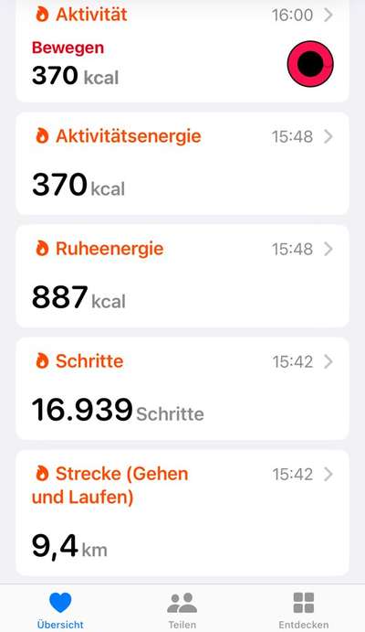 Rhodesian Ridgeback-Beitrag-Bild