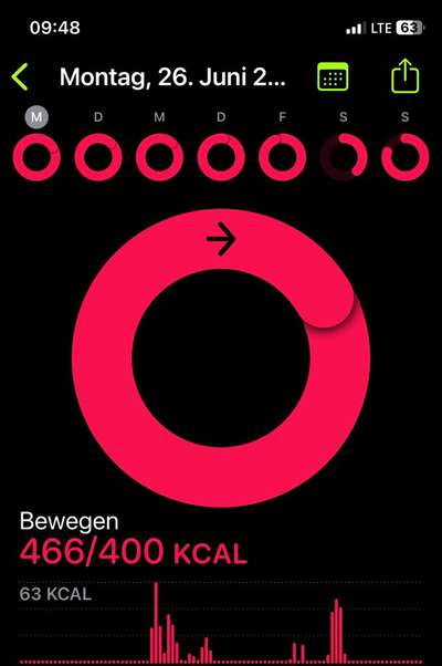 Radfahren mit Hund-Beitrag-Bild