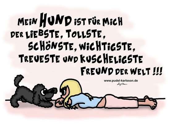 Radfahren mit Hund-Beitrag-Bild