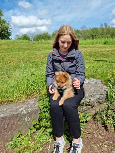 Das erste Foto-Beitrag-Bild