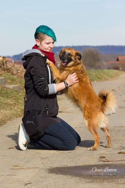 Dogorama Photo Challenge - Be my valentine-Beitrag-Bild