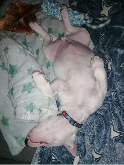 Fotochallenge Nr.65-Beitrag-Bild