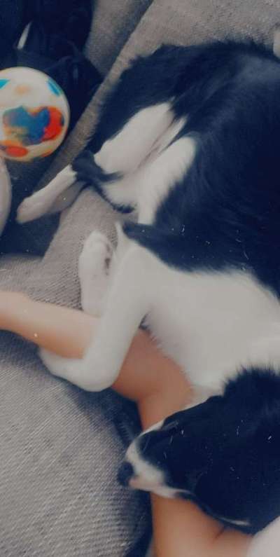 14. Handyfoto-Challenge: "BUDDY-Builder"-Beitrag-Bild