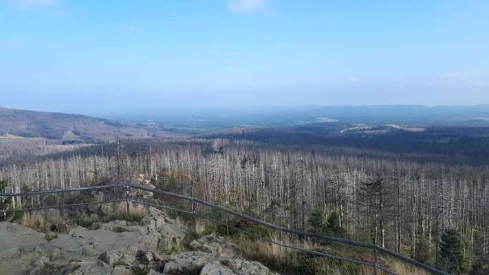 Hundeurlaub In Deutschland-Beitrag-Bild