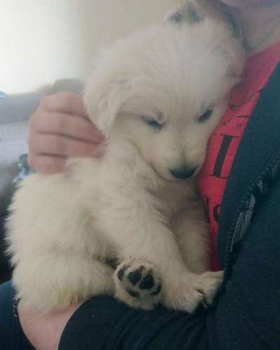 Das erste Foto-Beitrag-Bild