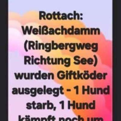 Giftköder-Giftköder-Bild