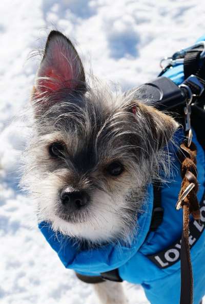 Austausch zur Fotografie-Beitrag-Bild