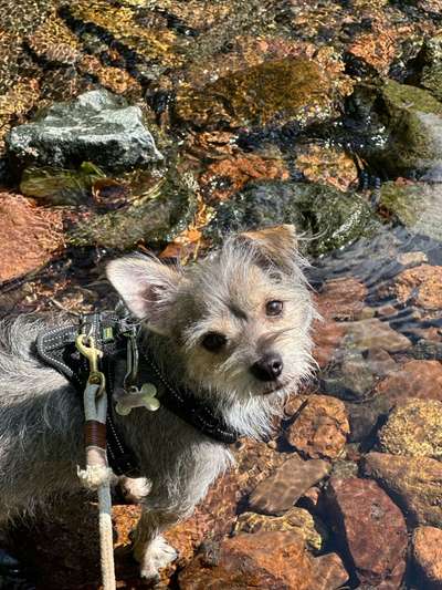 Austausch zur Fotografie-Beitrag-Bild