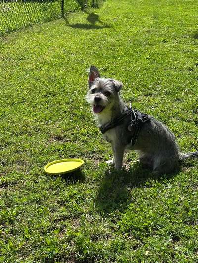 Austausch zur Fotografie-Beitrag-Bild
