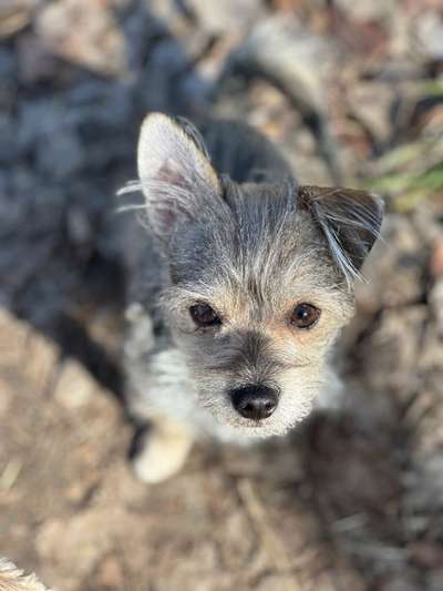 Austausch zur Fotografie-Beitrag-Bild