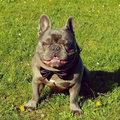 Handyfoto challenge Nr. 13: Waschlappen raus!-Beitrag-Bild