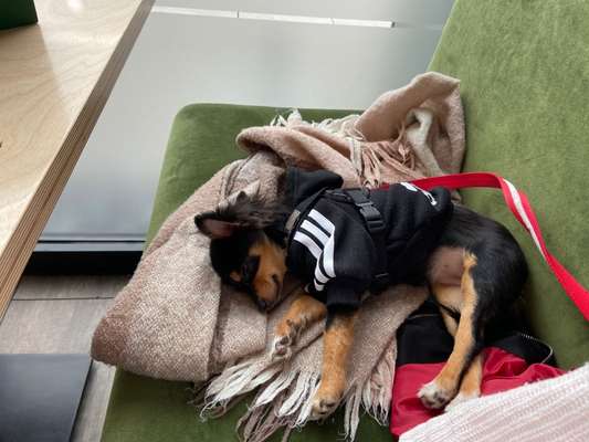 Die unbequemsten und lustigsten Schlafpositionen-Beitrag-Bild