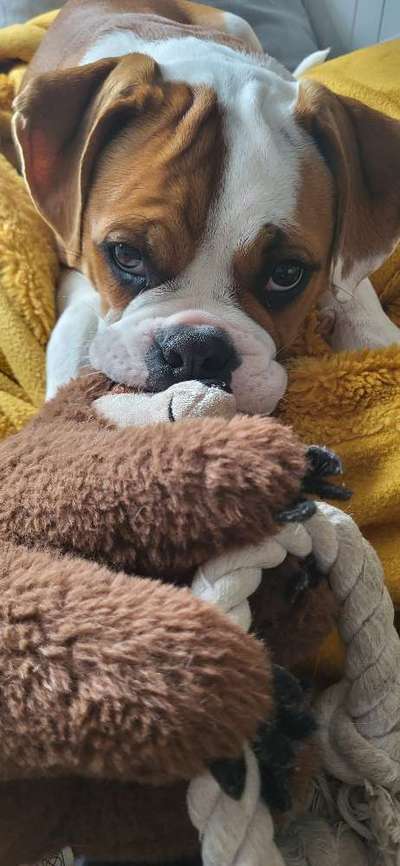 65. Handy Foto Challange                     "Ich kann nicht ohne..."-Beitrag-Bild