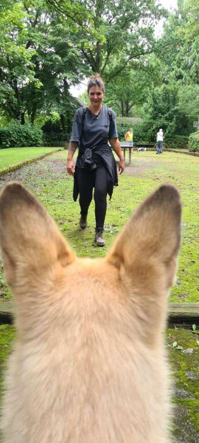 Hundetreffen-Mantrailing-Bild