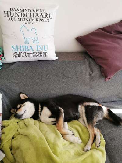 Die unbequemsten und lustigsten Schlafpositionen-Beitrag-Bild