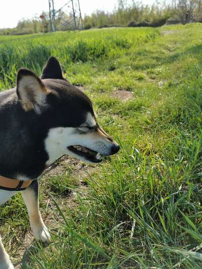 Lustige Bilder-Beitrag-Bild