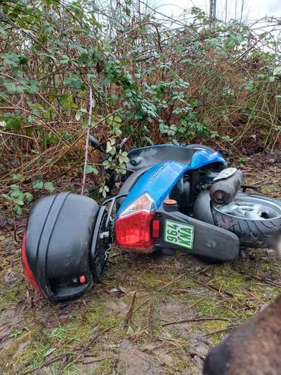 Freddys Kummerkasten-Beitrag-Bild