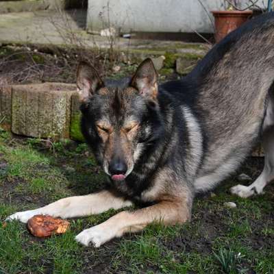 Freddys Kummerkasten-Beitrag-Bild