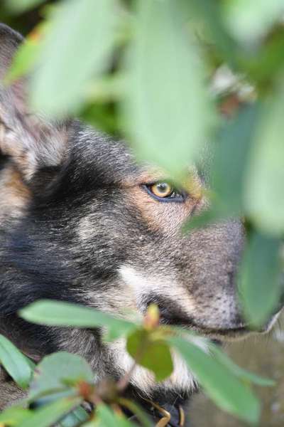 Austausch zur Fotografie-Beitrag-Bild