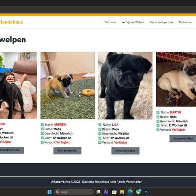Qualzucht - Warum Aufklärung alleine nicht reicht-Beitrag-Bild
