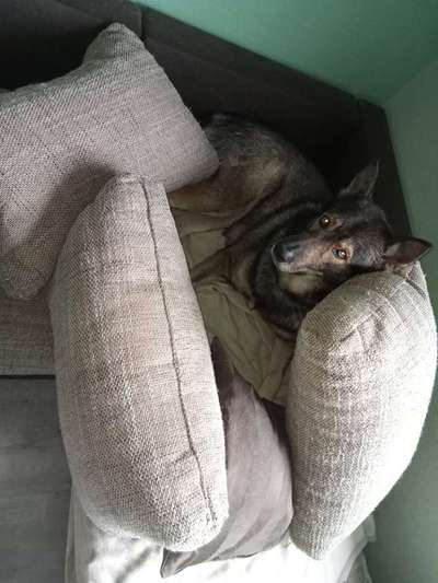 Freddys Kummerkasten-Beitrag-Bild