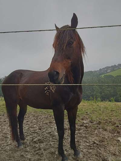 Freddys Kummerkasten-Beitrag-Bild