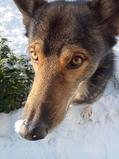 Freddys Kummerkasten-Beitrag-Bild