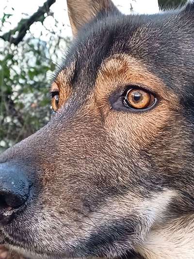 Freddys Kummerkasten-Beitrag-Bild