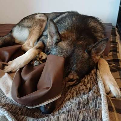 Freddys Kummerkasten-Beitrag-Bild