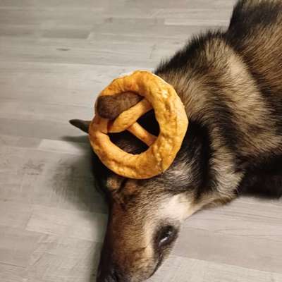 Freddys Kummerkasten-Beitrag-Bild