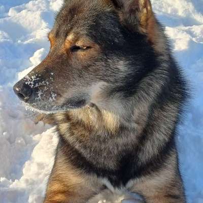 Freddys Kummerkasten-Beitrag-Bild