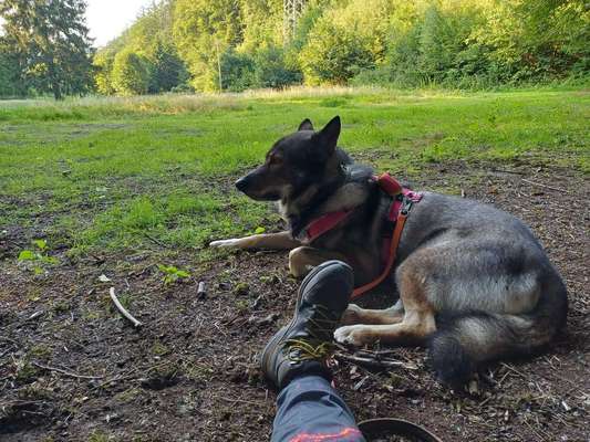 Freddys Kummerkasten-Beitrag-Bild