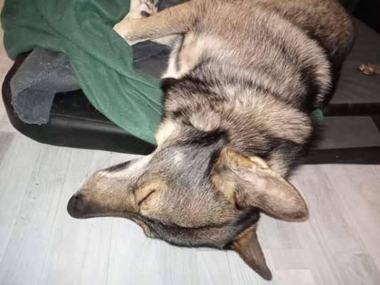 Platz aussuchen lassen.-Beitrag-Bild