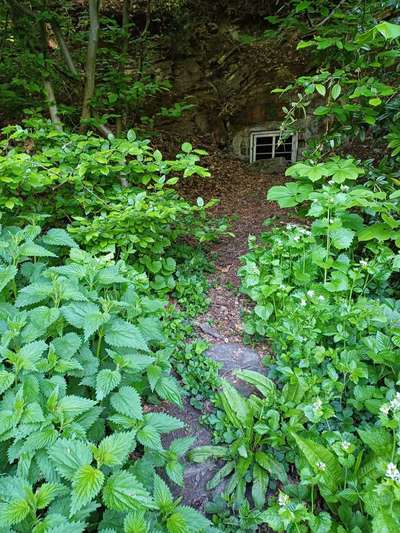 Freddys Kummerkasten-Beitrag-Bild