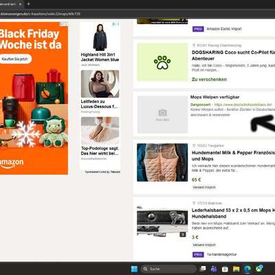 Qualzucht - Warum Aufklärung alleine nicht reicht-Beitrag-Bild