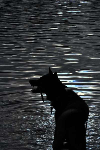 Fotochallange Nr. 46

Schattenspiele BEENDET!!!!!-Beitrag-Bild