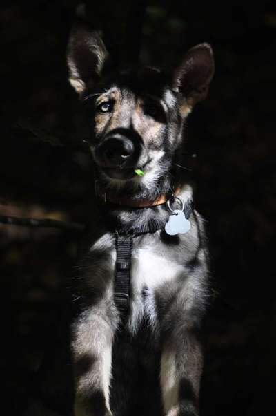 Austausch zur Fotografie-Beitrag-Bild
