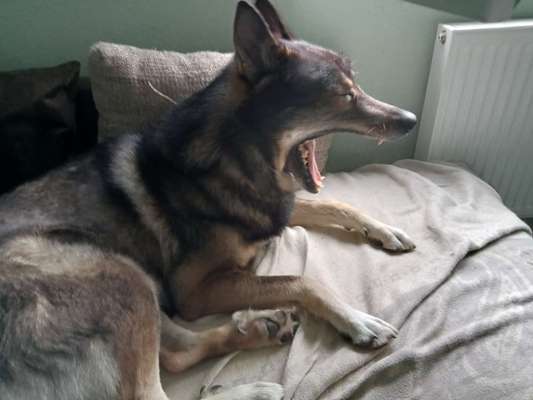 Freddys Kummerkasten-Beitrag-Bild