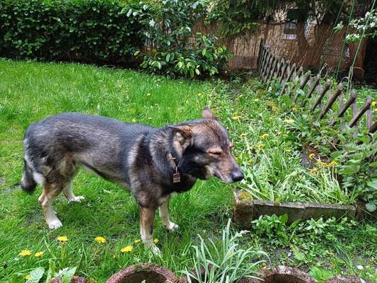 Freddys Kummerkasten-Beitrag-Bild