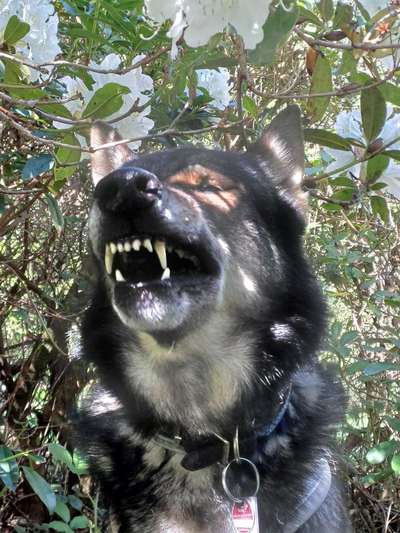 Freddys Kummerkasten-Beitrag-Bild