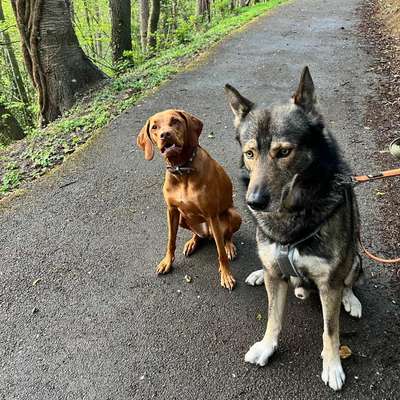 Freddys Kummerkasten-Beitrag-Bild