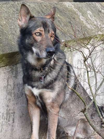 Freddys Kummerkasten-Beitrag-Bild