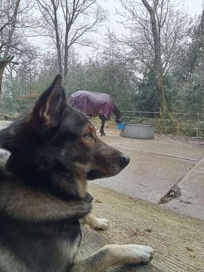 Freddys Kummerkasten-Beitrag-Bild