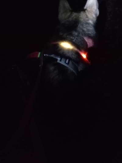 Freddys Kummerkasten-Beitrag-Bild