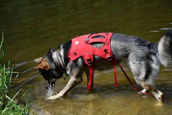 Ruffwear Frontrange Rucksack-Beitrag-Bild