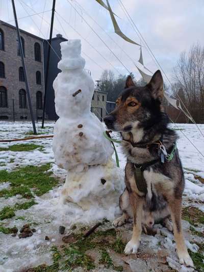 Freddys Kummerkasten-Beitrag-Bild